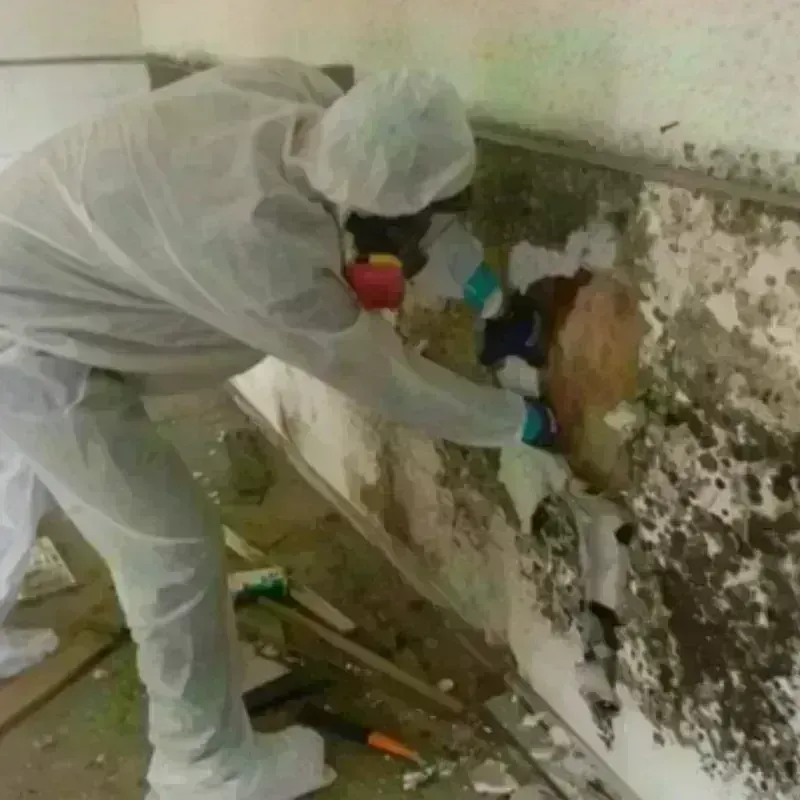 Mold Remediation and Removal in West Simsbury, CT